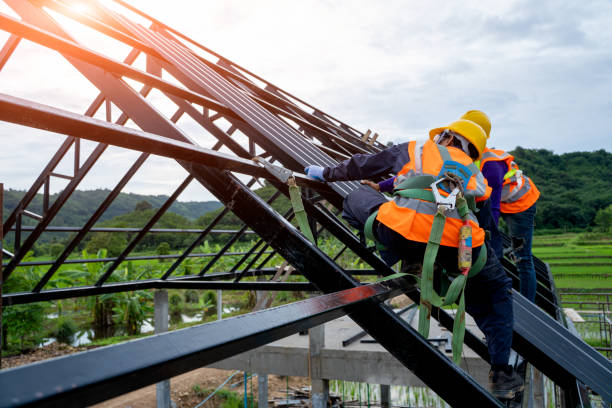 Roof Gutter Cleaning in Tulare, CA